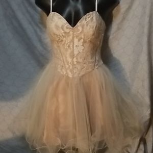 Nude lace bodice party dress fairy costume deb